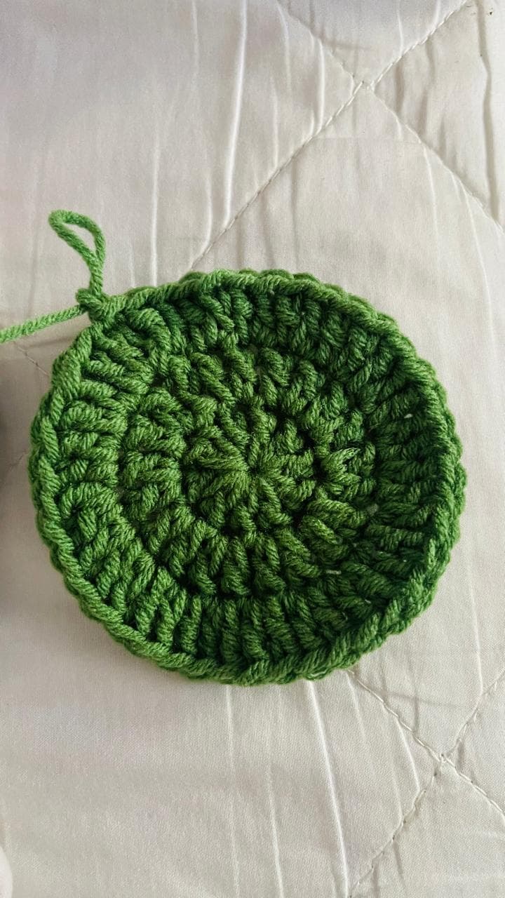Classic Green Coaster Crochet